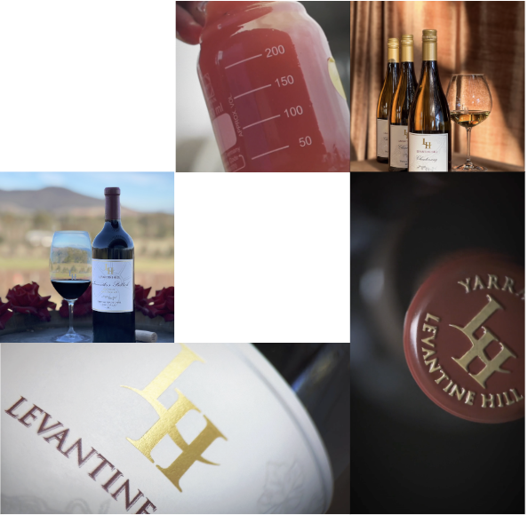 Levantine Hill