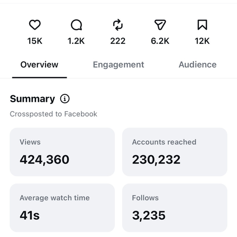 The Paradox Princess, 424K views, 3,235 follows