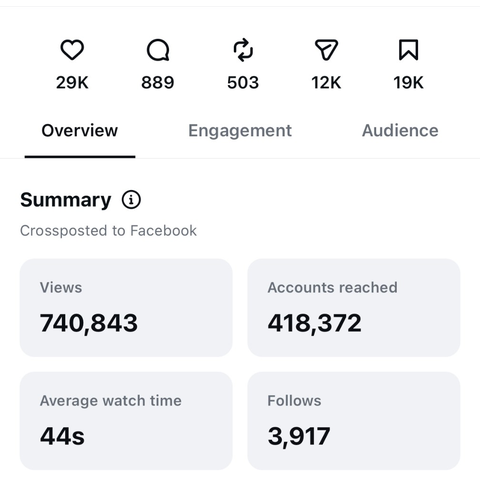 The Paradox Princess, 740K views, 3,917 follows
